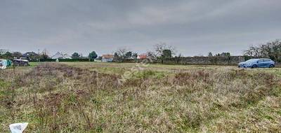 Terrain à Montlivault en Loir-et-Cher (41) de 1914 m² à vendre au prix de 97000€ - 3