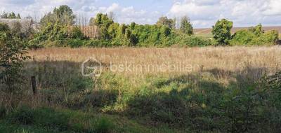 Terrain à Vaux d'Amognes en Nièvre (58) de 3000 m² à vendre au prix de 35000€ - 3