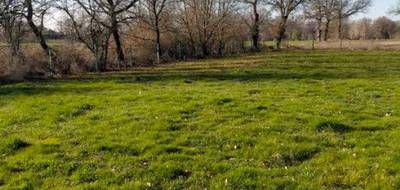 Terrain à Soual en Tarn (81) de 2651 m² à vendre au prix de 79900€ - 3