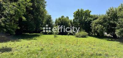 Terrain à Saujon en Charente-Maritime (17) de 6082 m² à vendre au prix de 200000€ - 2