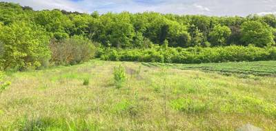 Terrain à Saint-Montan en Ardèche (07) de 1800 m² à vendre au prix de 68000€ - 3