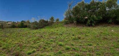 Terrain à Caunes-Minervois en Aude (11) de 1600 m² à vendre au prix de 80000€ - 2