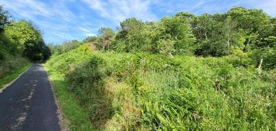 Terrain à Plonéour-Lanvern en Finistère (29) de 990 m² à vendre au prix de 20000€ - 4