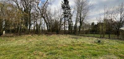 Terrain à Coudun en Oise (60) de 770 m² à vendre au prix de 80000€ - 3