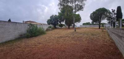 Terrain à Magalas en Hérault (34) de 1305 m² à vendre au prix de 195000€ - 4