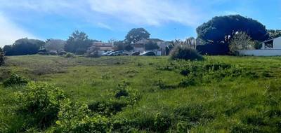 Terrain à Saint-Denis-d'Oléron en Charente-Maritime (17) de 4280 m² à vendre au prix de 828800€ - 1