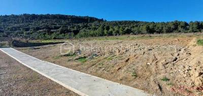 Terrain à Embres-et-Castelmaure en Aude (11) de 3160 m² à vendre au prix de 89900€ - 3