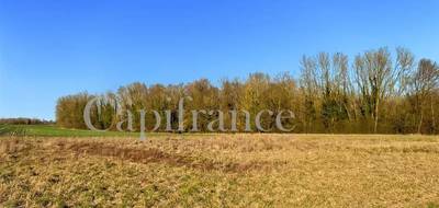 Terrain à Reims en Marne (51) de 1479 m² à vendre au prix de 77950€ - 1