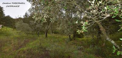 Terrain à Saint-Maximin-la-Sainte-Baume en Var (83) de 2000 m² à vendre au prix de 220000€ - 2