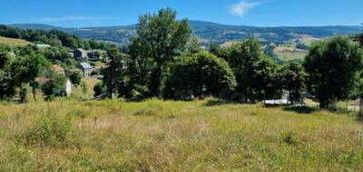 Terrain à Saint-Léger-du-Malzieu en Lozère (48) de 5185 m² à vendre au prix de 60000€ - 1