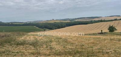 Terrain à Lévignac en Haute-Garonne (31) de 2500 m² à vendre au prix de 125000€ - 3