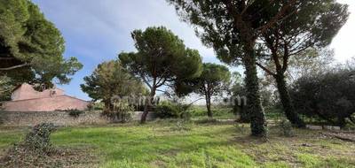 Terrain à Florensac en Hérault (34) de 600 m² à vendre au prix de 129000€ - 1