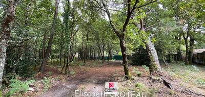 Terrain à Sanguinet en Landes (40) de 1677 m² à vendre au prix de 49990€ - 4