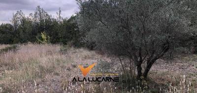 Terrain à Bize-Minervois en Aude (11) de 1205 m² à vendre au prix de 141000€ - 3