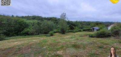 Terrain à Noailles en Corrèze (19) de 2000 m² à vendre au prix de 19990€ - 1