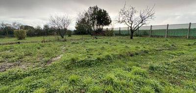 Terrain à Grues en Vendée (85) de 500 m² à vendre au prix de 34000€ - 2