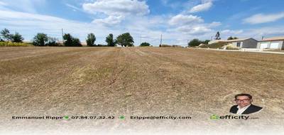 Terrain à Saint-Genis-d'Hiersac en Charente (16) de 800 m² à vendre au prix de 38500€ - 3