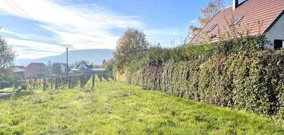 Terrain à Obermorschwihr en Haut-Rhin (68) de 2112 m² à vendre au prix de 219000€ - 3