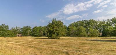 Terrain à La Ferté-Imbault en Loir-et-Cher (41) de 3596 m² à vendre au prix de 31990€ - 2