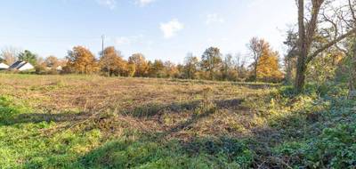 Terrain à Pruniers-en-Sologne en Loir-et-Cher (41) de 1151 m² à vendre au prix de 27990€ - 4