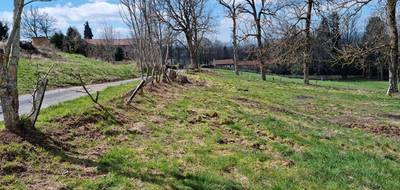 Terrain à Saint-Romain-Lachalm en Haute-Loire (43) de 1074 m² à vendre au prix de 68000€ - 3