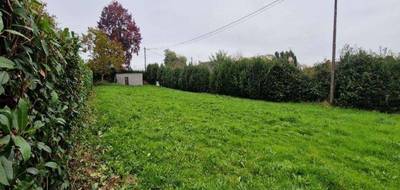 Terrain à Rieux en Morbihan (56) de 1000 m² à vendre au prix de 52320€ - 1