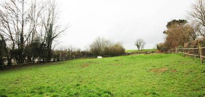 Terrain à Nielles-lès-Bléquin en Pas-de-Calais (62) de 1125 m² à vendre au prix de 44000€ - 1