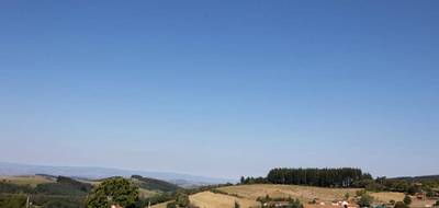 Terrain à Violay en Loire (42) de 1000 m² à vendre au prix de 85000€ - 2