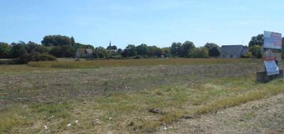 Terrain à Marcilly-sur-Vienne en Indre-et-Loire (37) de 1887 m² à vendre au prix de 15000€ - 3