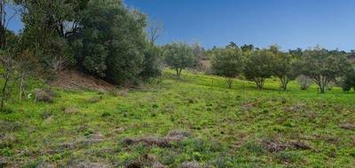 Terrain à Caunes-Minervois en Aude (11) de 1600 m² à vendre au prix de 80000€ - 1