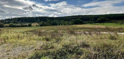 Terrain à Rosenwiller en Bas-Rhin (67) de 240 m² à vendre au prix de 148800€ - 2