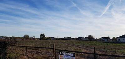 Terrain à Chassenard en Allier (03) de 1115 m² à vendre au prix de 18000€ - 1