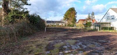 Terrain à Wimille en Pas-de-Calais (62) de 913 m² à vendre au prix de 135000€ - 2