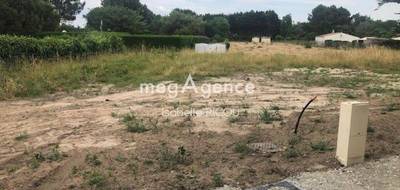 Terrain à Saint-Georges-d'Oléron en Charente-Maritime (17) de 427 m² à vendre au prix de 228700€ - 4