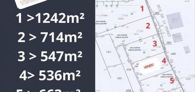 Terrain à Etzling en Moselle (57) de 1242 m² à vendre au prix de 71990€ - 2