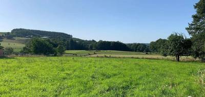 Terrain à Neuvic-Entier en Haute-Vienne (87) de 2880 m² à vendre au prix de 28000€ - 1