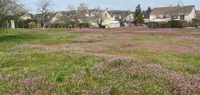 Terrain à Champagné en Sarthe (72) de 2675 m² à vendre au prix de 188000€ - 1