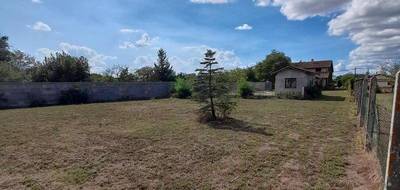 Terrain à Ambarès-et-Lagrave en Gironde (33) de 845 m² à vendre au prix de 164000€ - 2