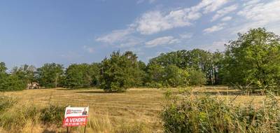 Terrain à La Ferté-Imbault en Loir-et-Cher (41) de 3565 m² à vendre au prix de 31990€ - 2