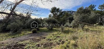 Terrain à Solliès-Ville en Var (83) de 3900 m² à vendre au prix de 313500€ - 3