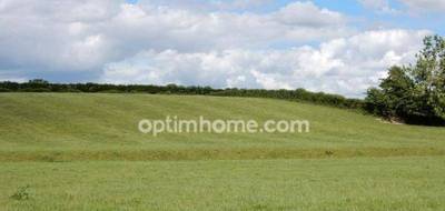 Terrain à Pernes en Pas-de-Calais (62) de 15273 m² à vendre au prix de 100000€ - 1