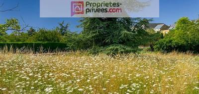 Terrain à Beaulieu-sur-Layon en Maine-et-Loire (49) de 0 m² à vendre au prix de 65000€ - 2