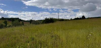 Terrain à Puymirol en Lot-et-Garonne (47) de 1010 m² à vendre au prix de 51000€ - 3