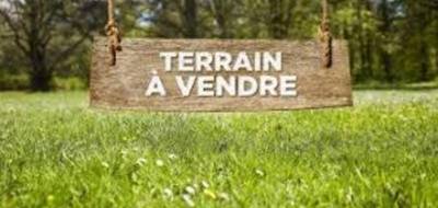 Terrain à Aléria en Haute-Corse (2B) de 1000 m² à vendre au prix de 80000€ - 1