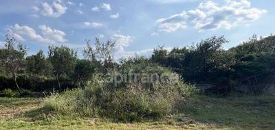 Terrain à Sainte-Croix-de-Quintillargues en Hérault (34) de 334 m² à vendre au prix de 189875€ - 2