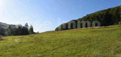 Terrain à Sancey en Doubs (25) de 1105 m² à vendre au prix de 47000€ - 3