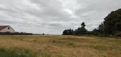 Terrain à Selommes en Loir-et-Cher (41) de 1001 m² à vendre au prix de 28000€ - 3