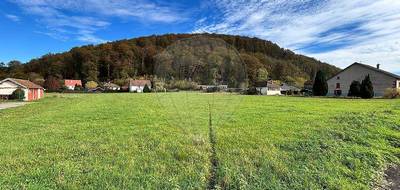 Terrain à Breuchotte en Haute-Saône (70) de 5534 m² à vendre au prix de 104500€ - 1