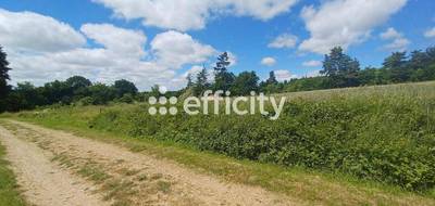 Terrain à Ruynes-en-Margeride en Cantal (15) de 10021 m² à vendre au prix de 53889€ - 4