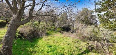 Terrain à Rapale en Haute-Corse (2B) de 1984 m² à vendre au prix de 162000€ - 2